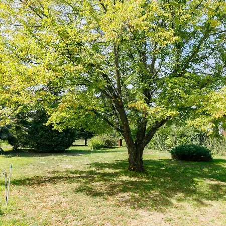 Apartamento Anthony 2 By Interhome Balatonboglár